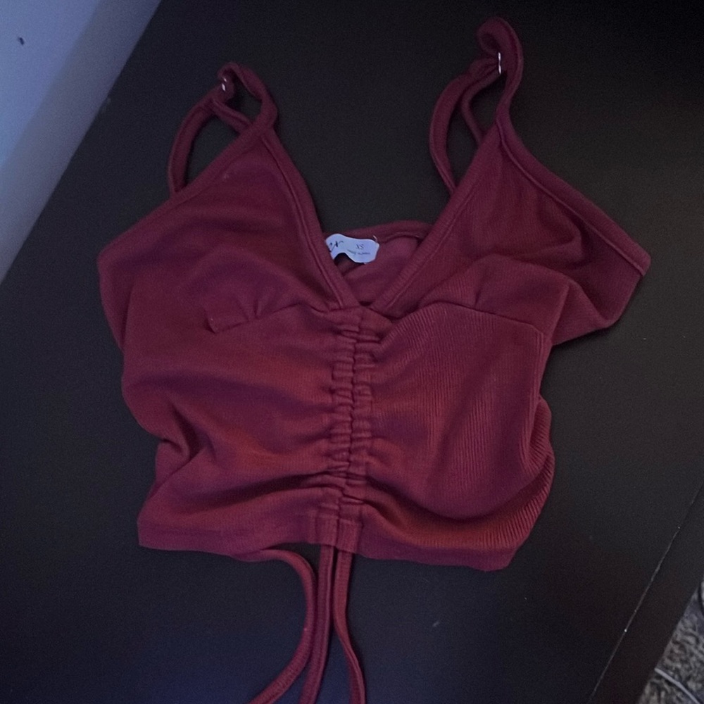 Aster Darkish Red Crop Top